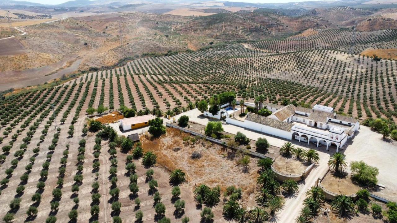Willa Cortijo Donana La Puebla de Cazalla Zewnętrze zdjęcie